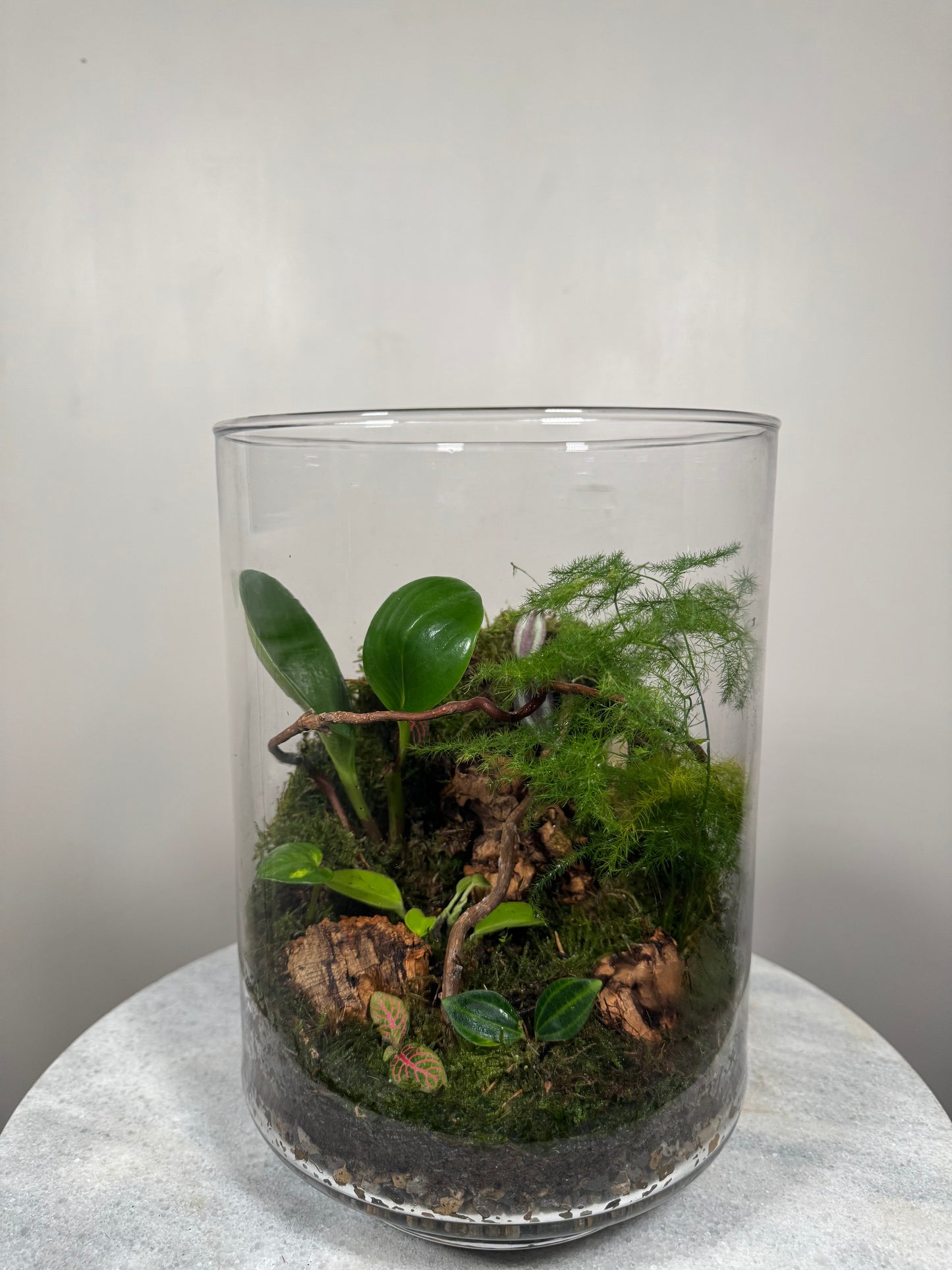 Large Glass Terrarium Bottle Garden