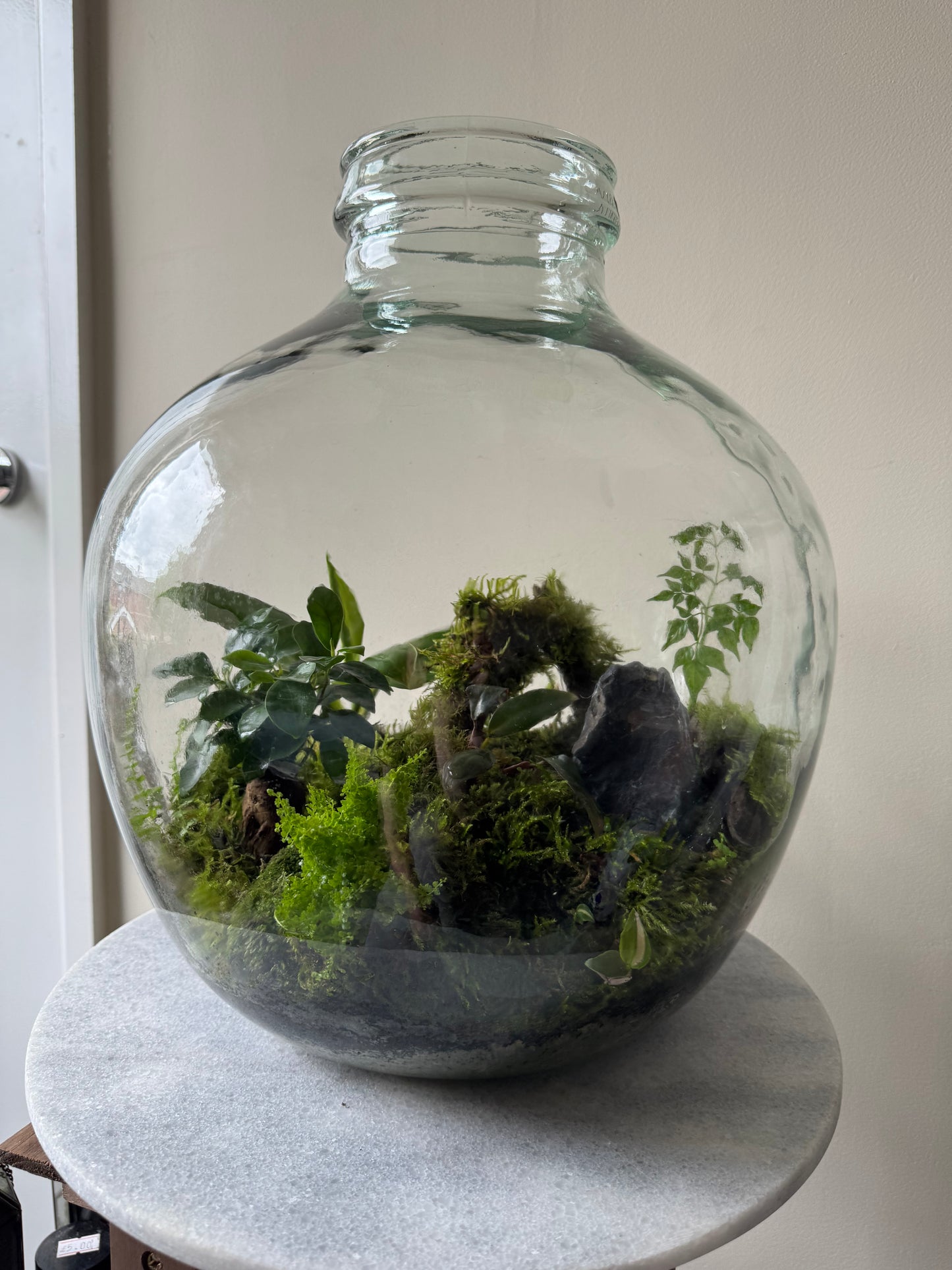 Large Heavy Glass Carboy Planted Terrarium