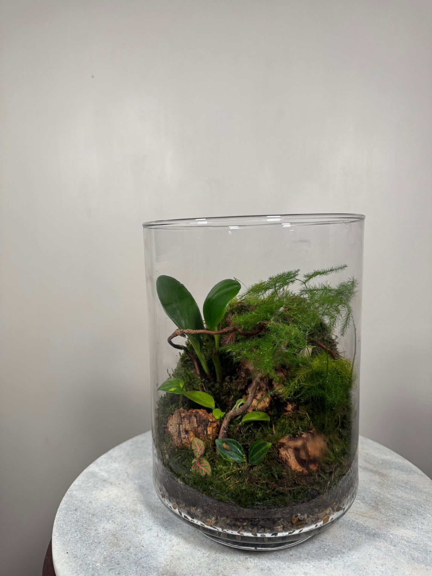 Large Glass Terrarium Bottle Garden