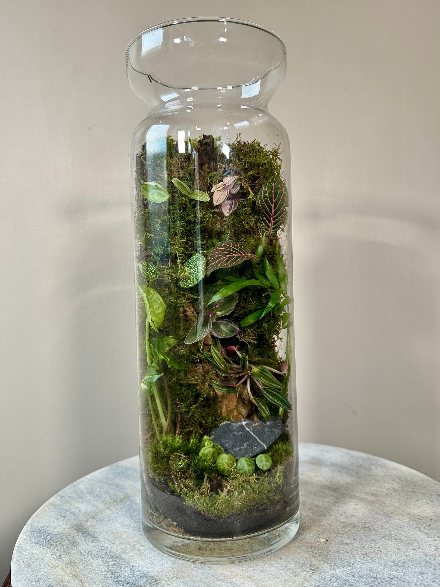 Tall Glass Moss Terrarium
