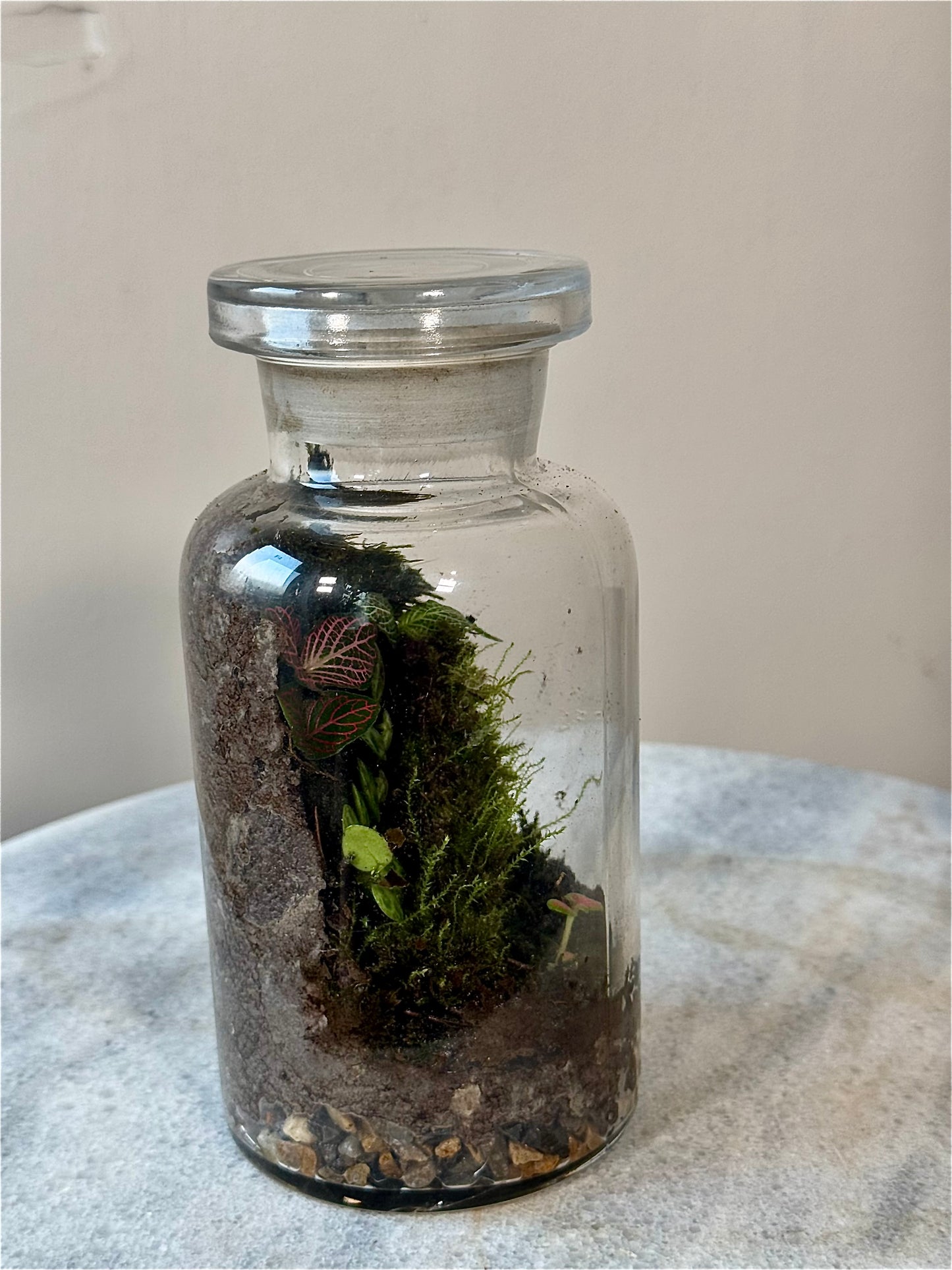 Chemistry Bottle Moss Terrarium